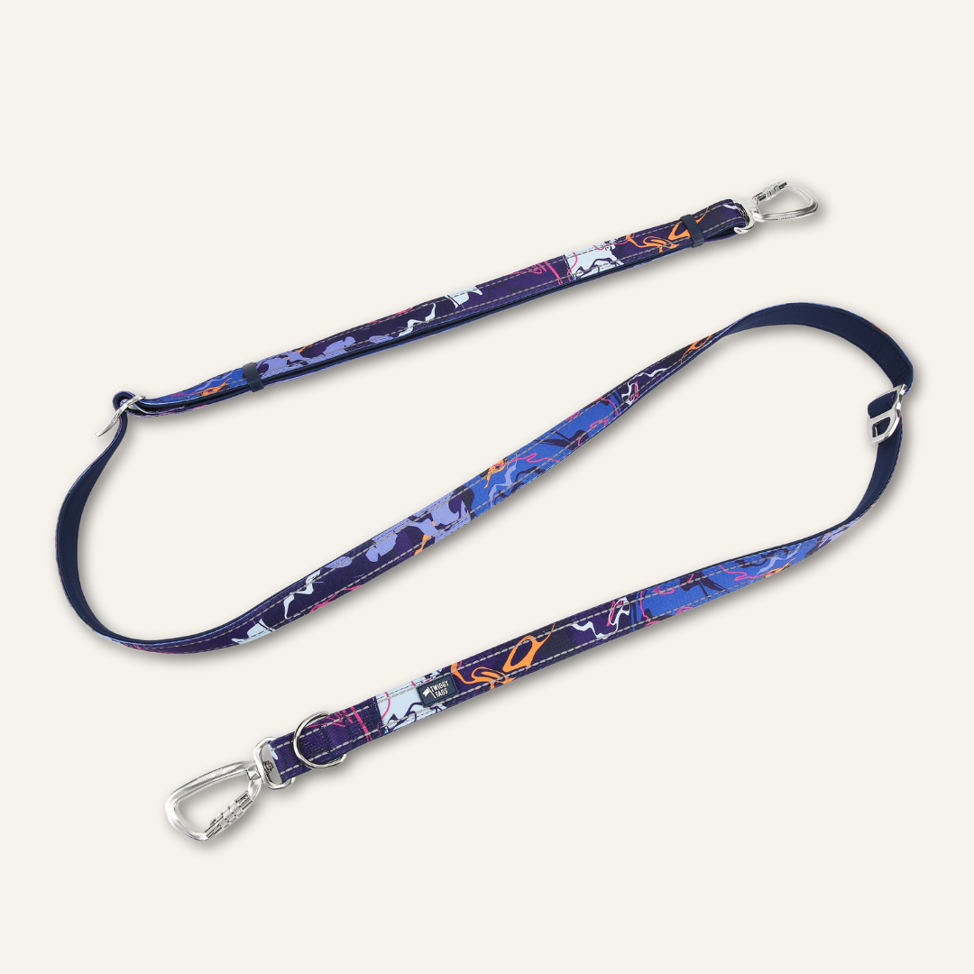 Adjustable Multi-Way Dog Leash Nebula