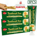 Three-Pack 100g Mint Toothpaste with Flip-Cap Tubes, Cartons and Toothbrush Tree Label Design