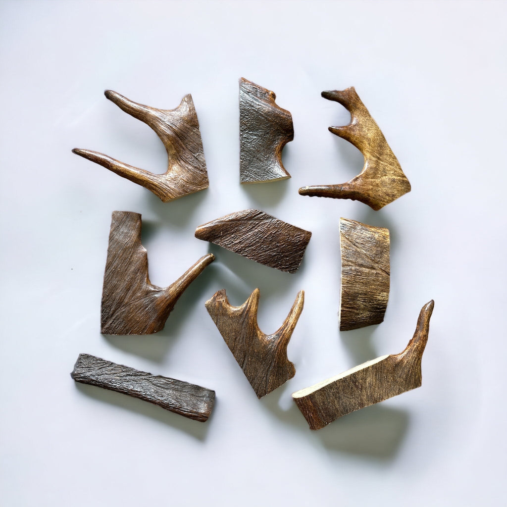 Moose Antler Dog Chew Assortment Large Moderate Chewer - 2 Large Chews Per Pound / Original Fresh Antler
