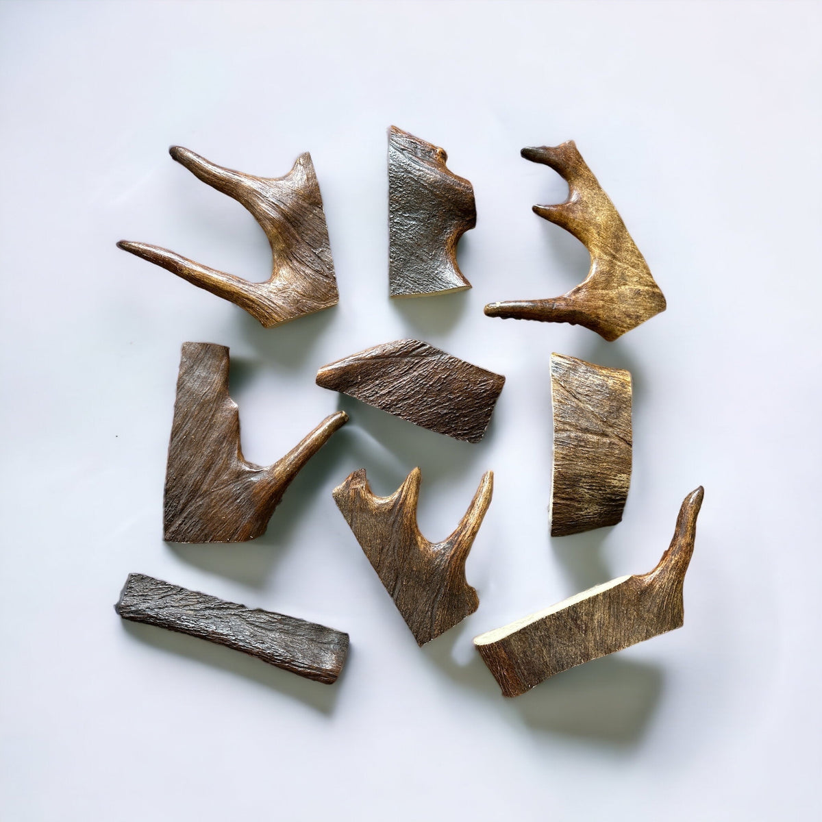 Moose Antler Dog Chew Assortment Large Moderate Chewer - 2 Large Chews Per Pound / Original Fresh Antler