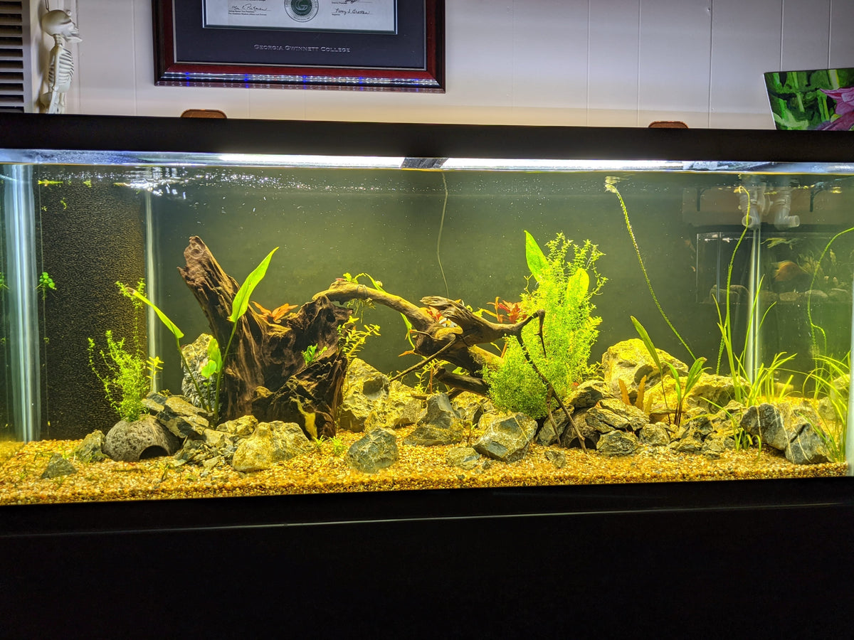 Planted Aquarium Soil Base Layer product image 12