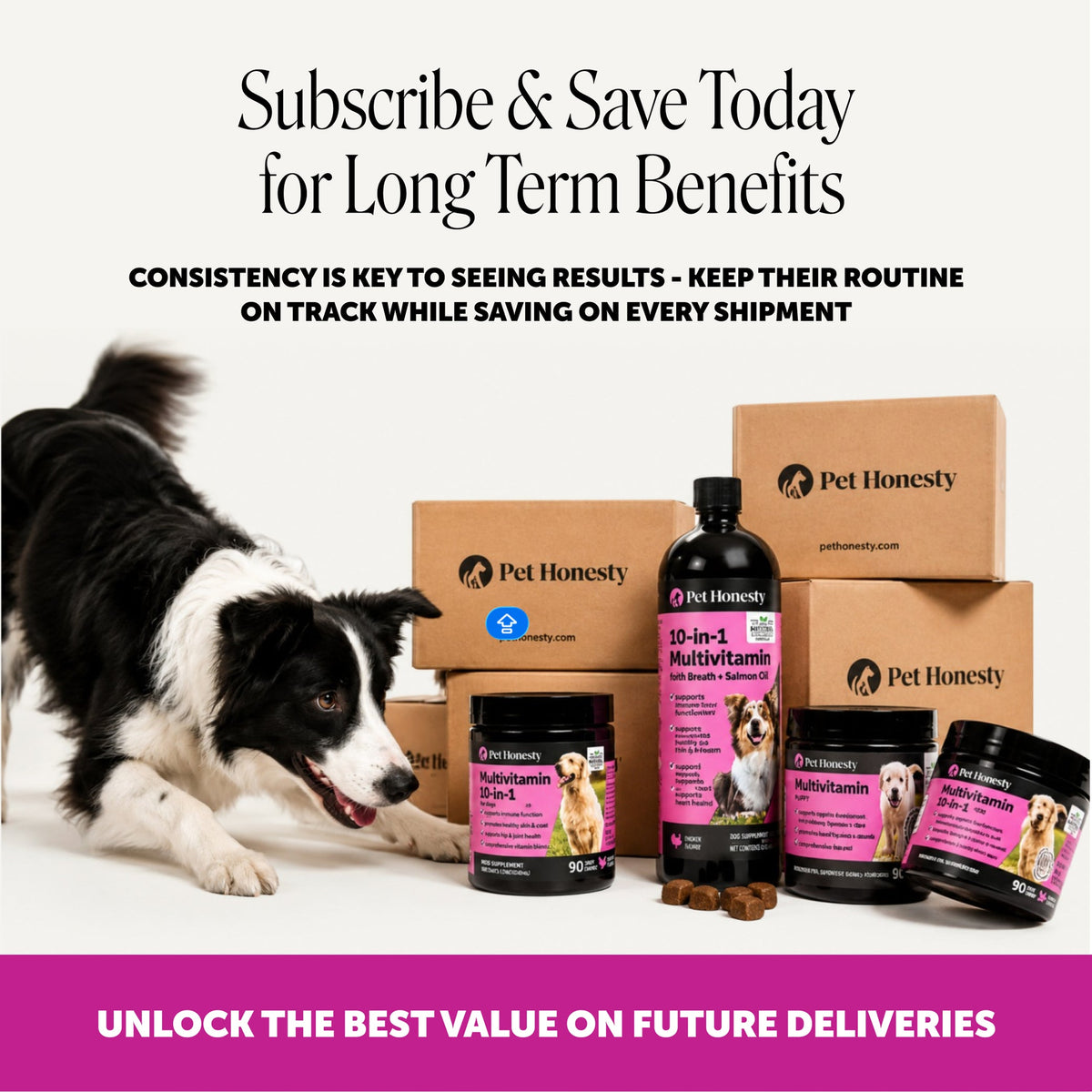 Max-Strength Dog Multivitamin Soft Chews product image 7