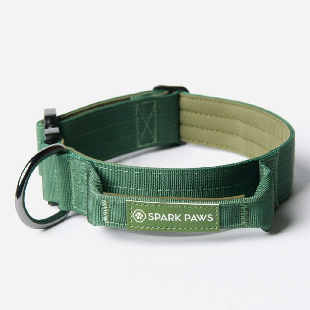Control-Handle Dog Collar product image 1