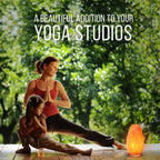 Himalayan Salt Lamp with Dimmer Touch Control, 5-Natural Pink Crystal, Wooden Neem Base, Ambient Amber Glow