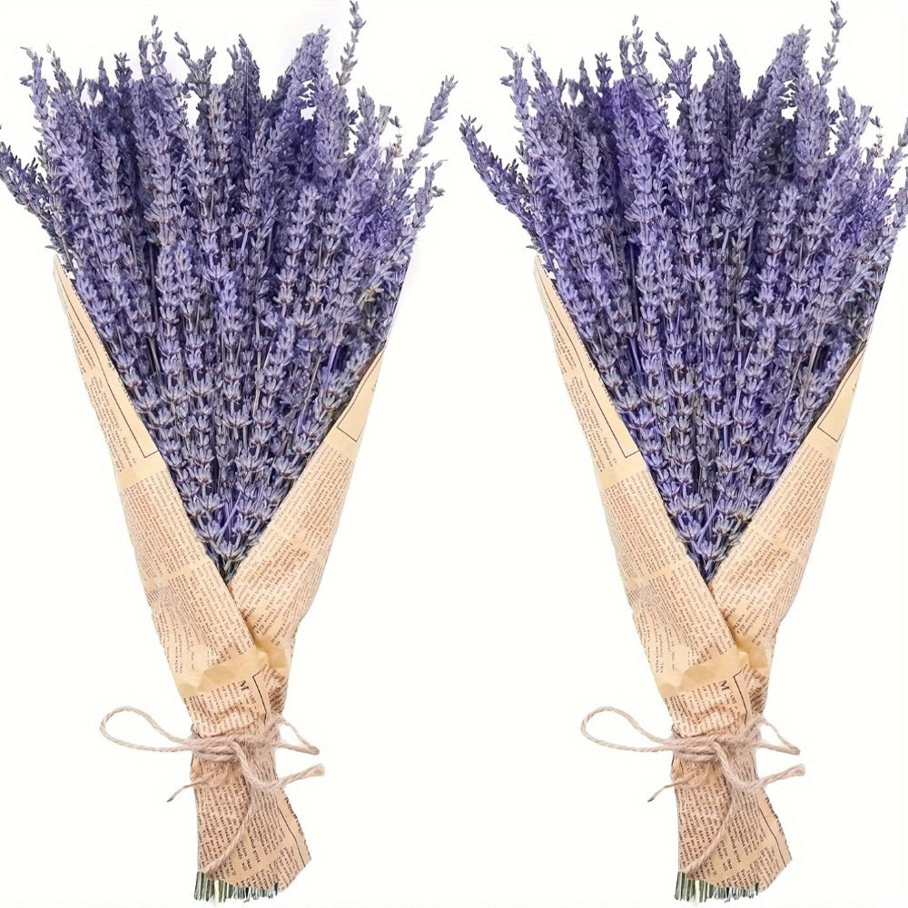 Two-Bunch Dried Lavender Bundle with About 210 Stems and 17-Inch Purple Floral Display Length