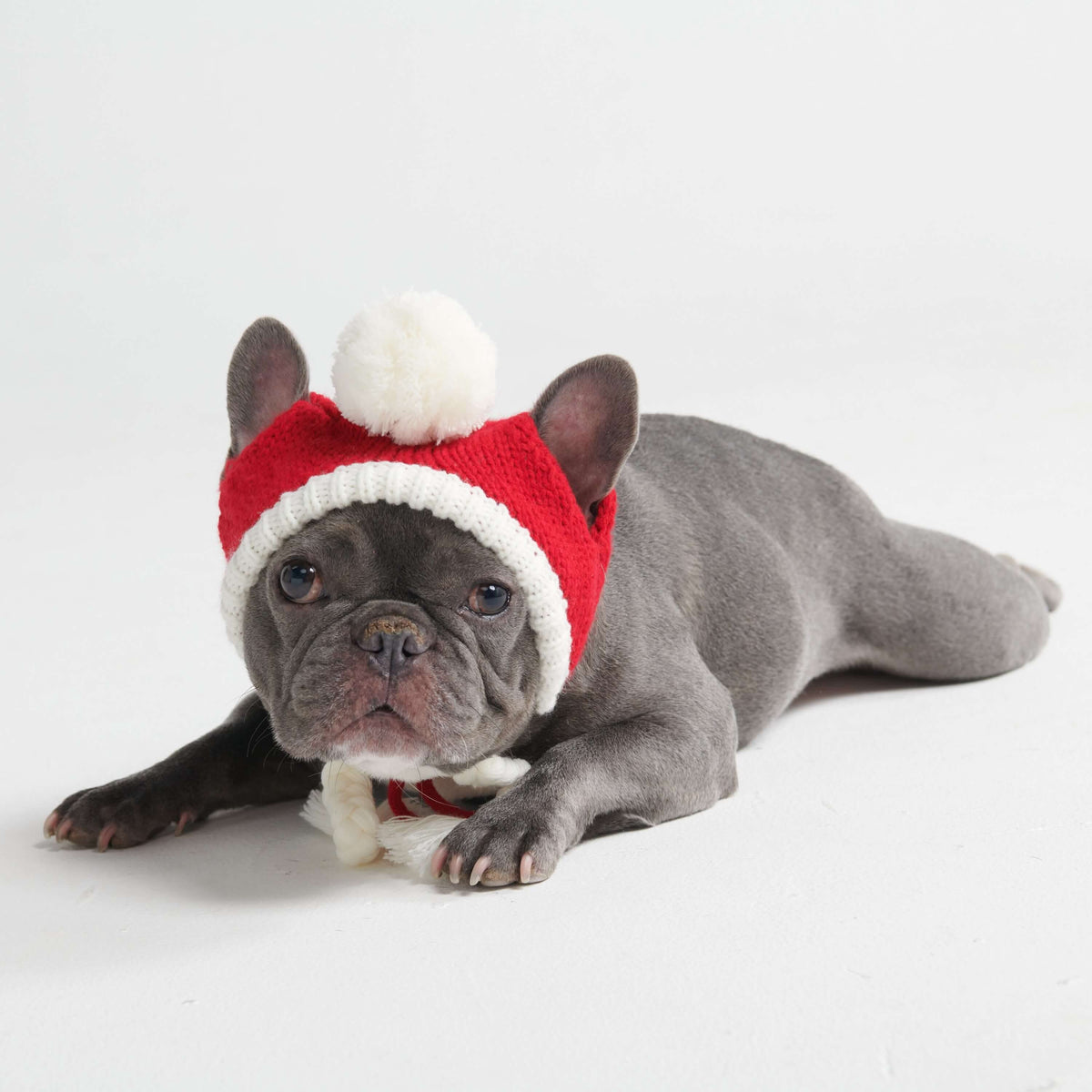 Knit Pom-Pom Dog Beanie, Hat - Santa / S (10-15lbs/4.5-7kg)
