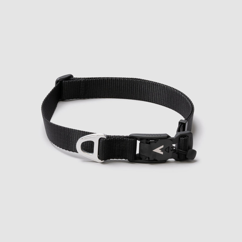 Adjustable Lightweight Dog Collar Black / Small (12"-16")