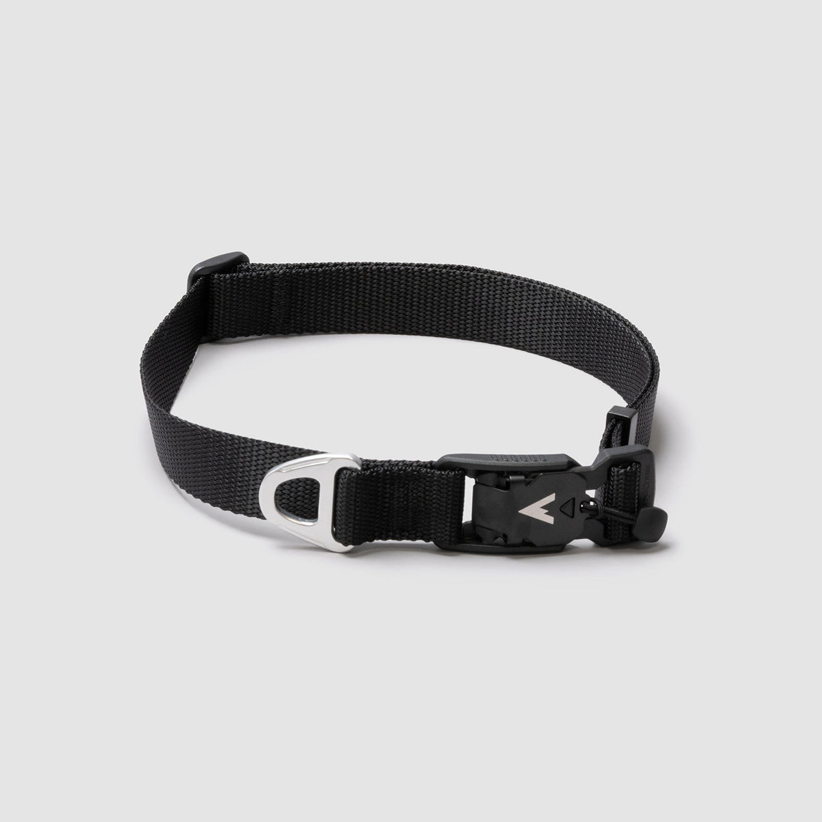 Adjustable Lightweight Dog Collar Black / Small (12"-16")