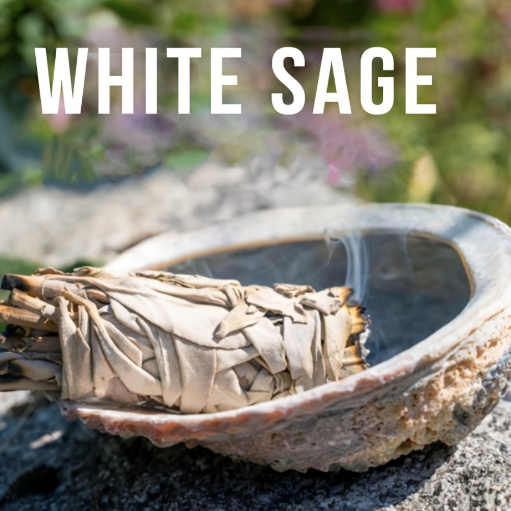 Sage Smudge Kit 5 Pack White Sage Cedarwood Dragon's Blood Eucalyptus Lavender Incense Sticks for Entryways, Bedrooms and Living Spaces