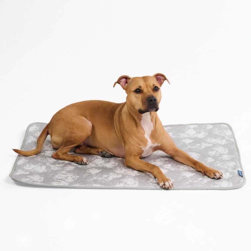 Breathable Cooling Dog Mat Clouds Grey / L