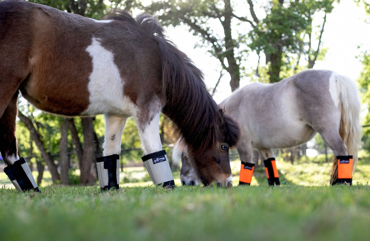 Horse Fly Boots product image 5