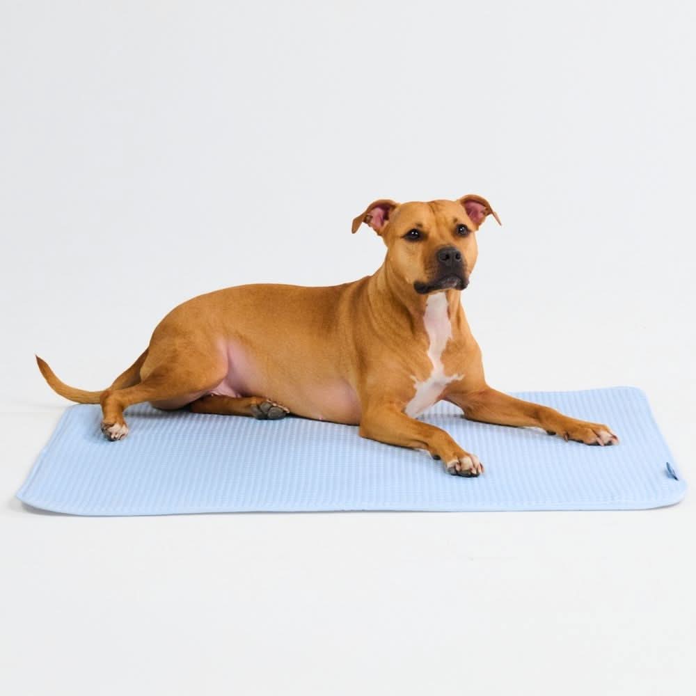 Breathable Cooling Dog Mat Waffle Blue / L