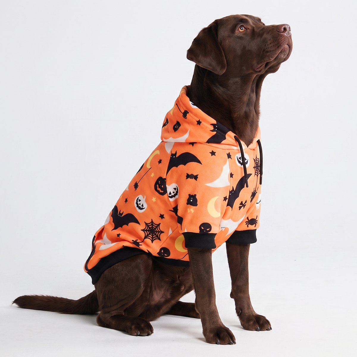 Halloween Dog Hoodie, Halloween Orange Hoodie / 4XL