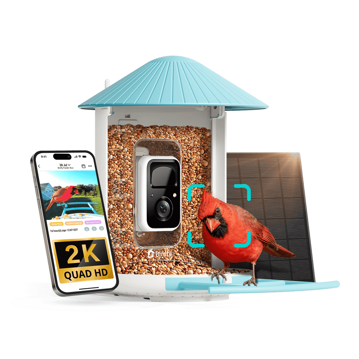 Smart Bird Feeder Camera + Solar Panel / AI Lifetime Free