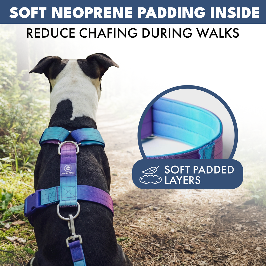 No-Pull Dog Harness product image 5