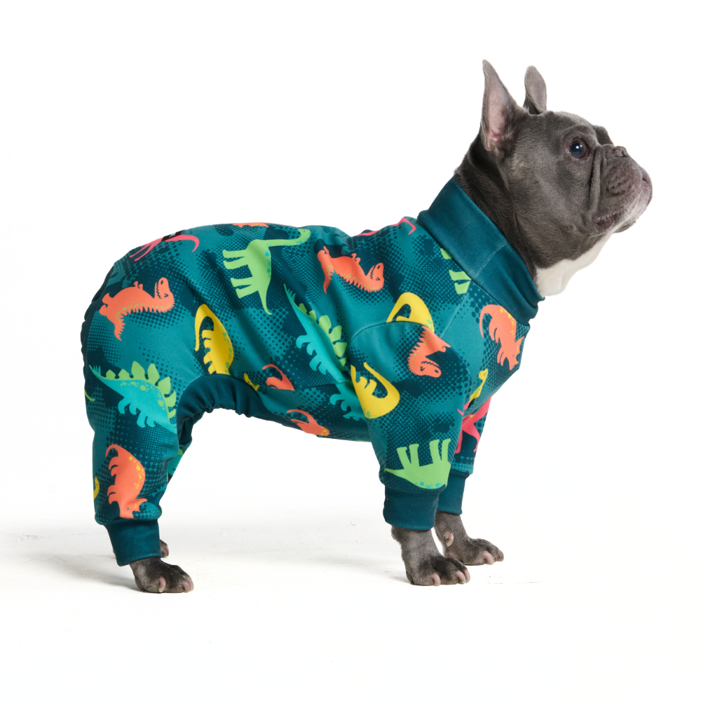 Dinosaur Dog Pajamas, L