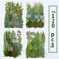 Dried Flower Material Pack 120pcs for Entryways, Bedrooms and Living Spaces, with the Listed Configuration