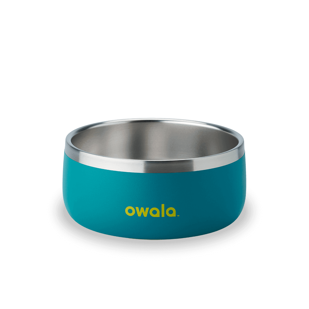 Stainless Steel Pet Bowl 3 cups / Turquoise & Caicos