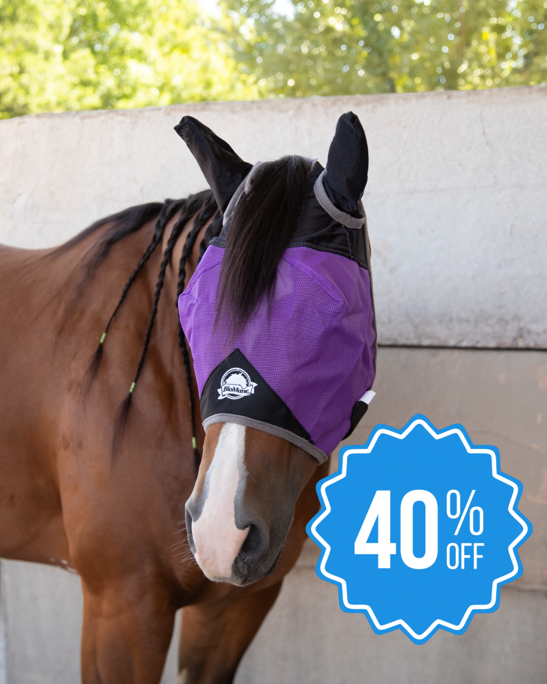 Quarter Horse Fly Mask Quarter Horse - Purple (40% Off)