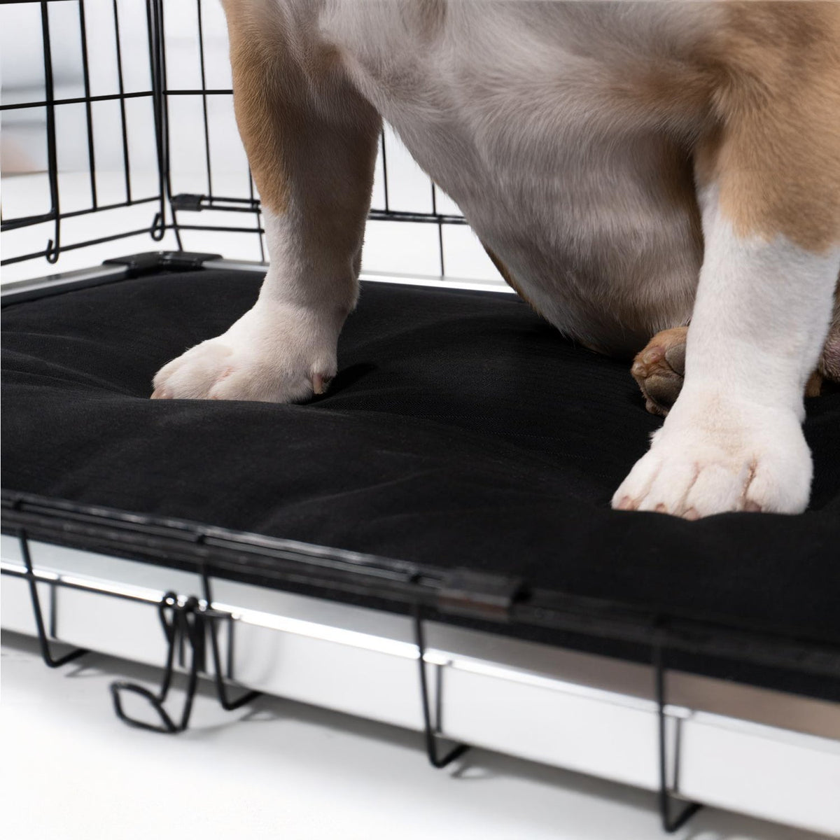 Armored Dog Bed Replacement Pad S / Obsidian Black