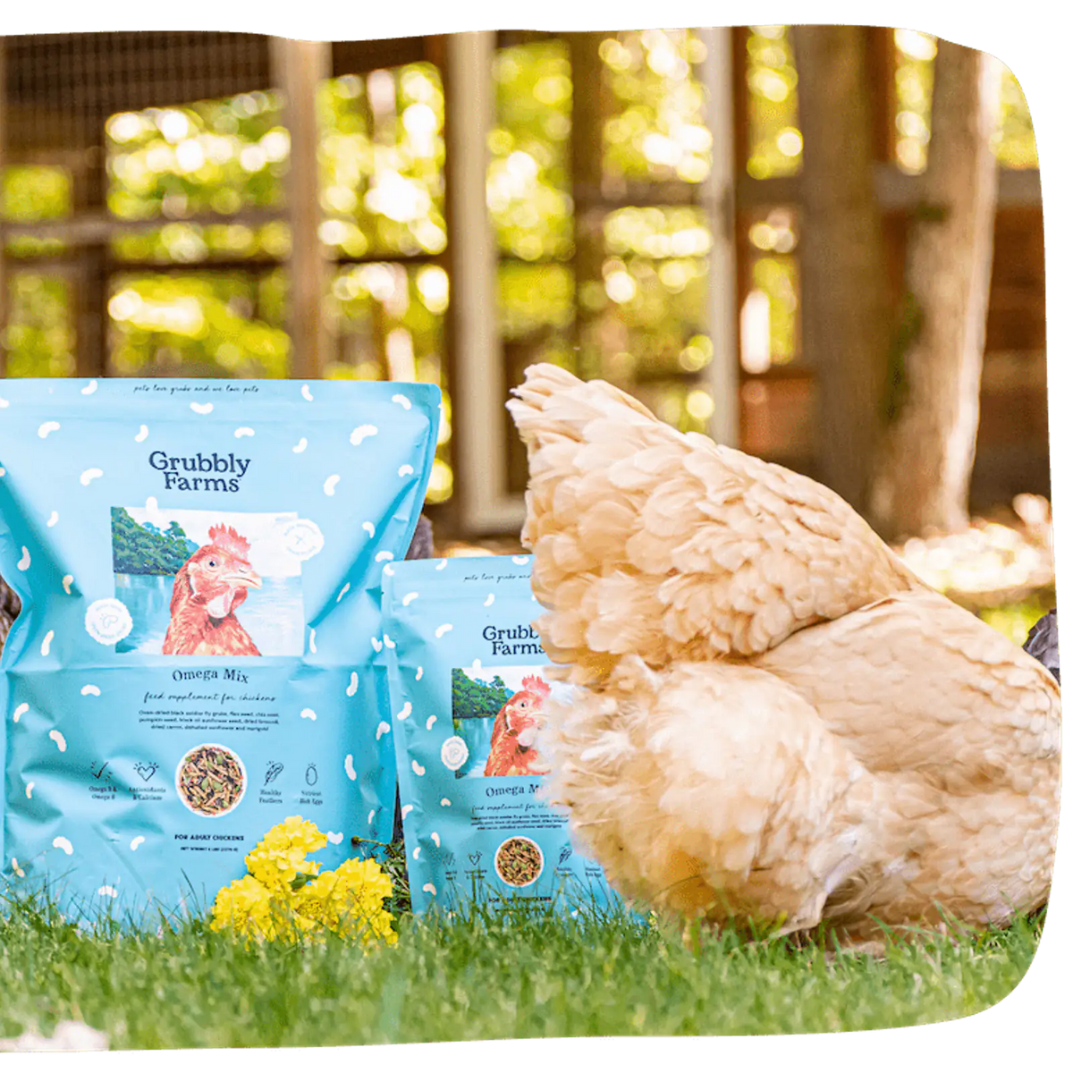 Omega-Rich Chicken Feed Supplement product view 1