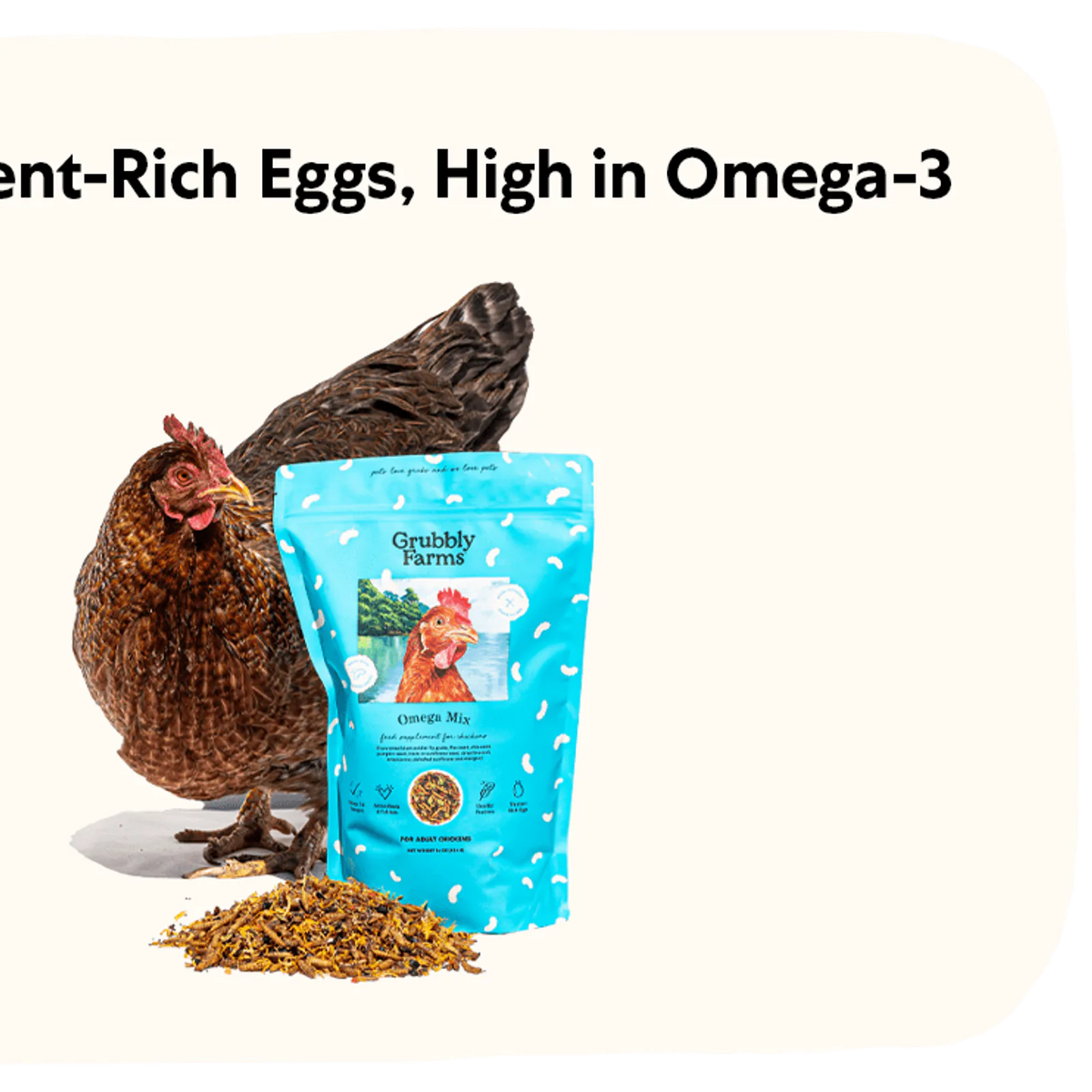 Omega-Rich Chicken Feed Supplement, 1 lb