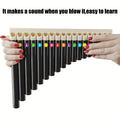 18-Pipe Black Pan Flute with Color-Coded Note Stickers, Detachable Tubes and Dedicated Storage Bag
