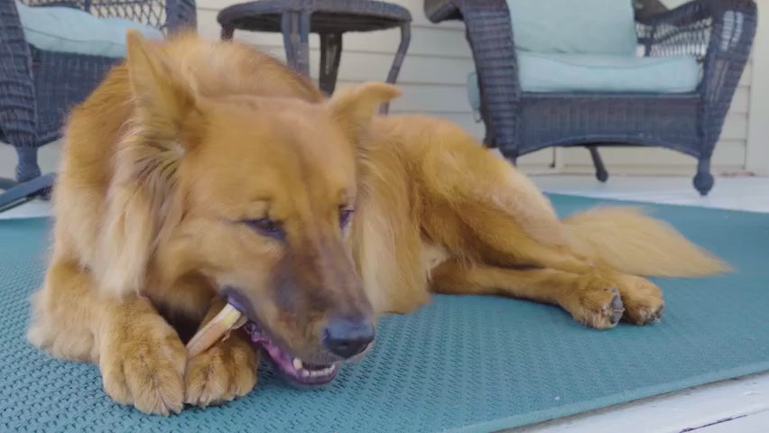Video commercial featuring Redbarn Bully Stick Chews