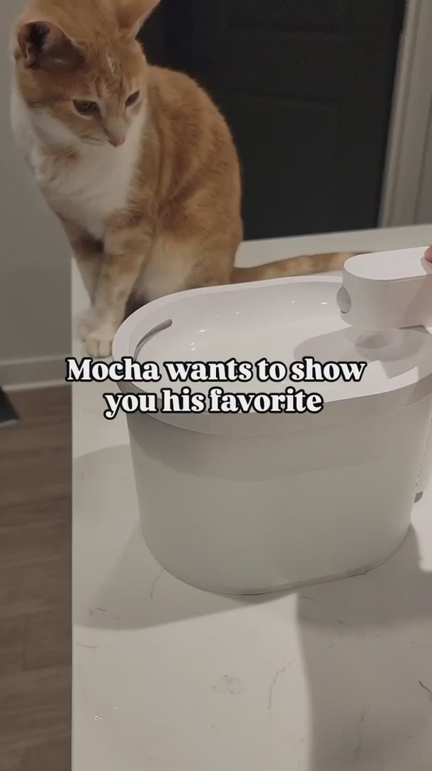 Cordless Automatic Cat Water Fountain with Quiet Battery Operation and One, Six or Nine Replacement Filters product demonstration video