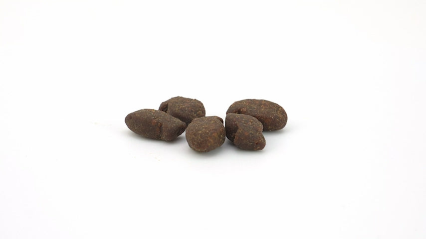 Salmon and Trout Dog Training Treats for Walks, Agility Sessions and Everyday Rewards in 100 g and 500 g Bags product demonstration video