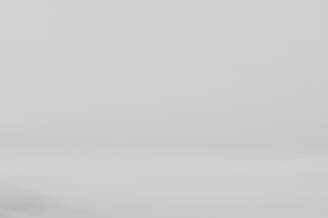 Porto Cat Carrier product video