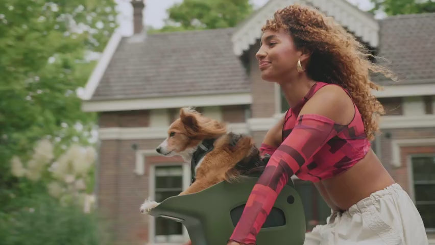 Dog Bike Carrier Seat for Standard Bicycles and E-Bikes in Two Colors with Small or Medium Harness product demonstration video