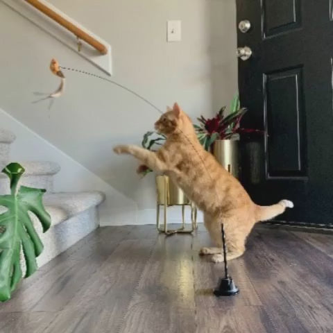 Interactive Bird Simulation Cat Toy product video