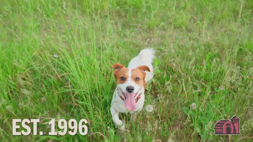 Video Commercial for the Redbarn Air Dried Powerfood