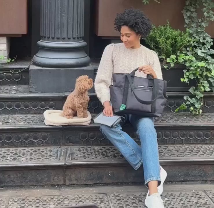 Transit Tote Dog Carrier product video