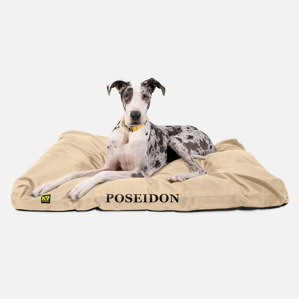 Ripstop rectangle dog pillow bed with heavy duty cover, product image 19