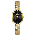 Oval Dial Mesh Bracelet Women's Watch in Seven Coordinated Case, Face and Band Color Options