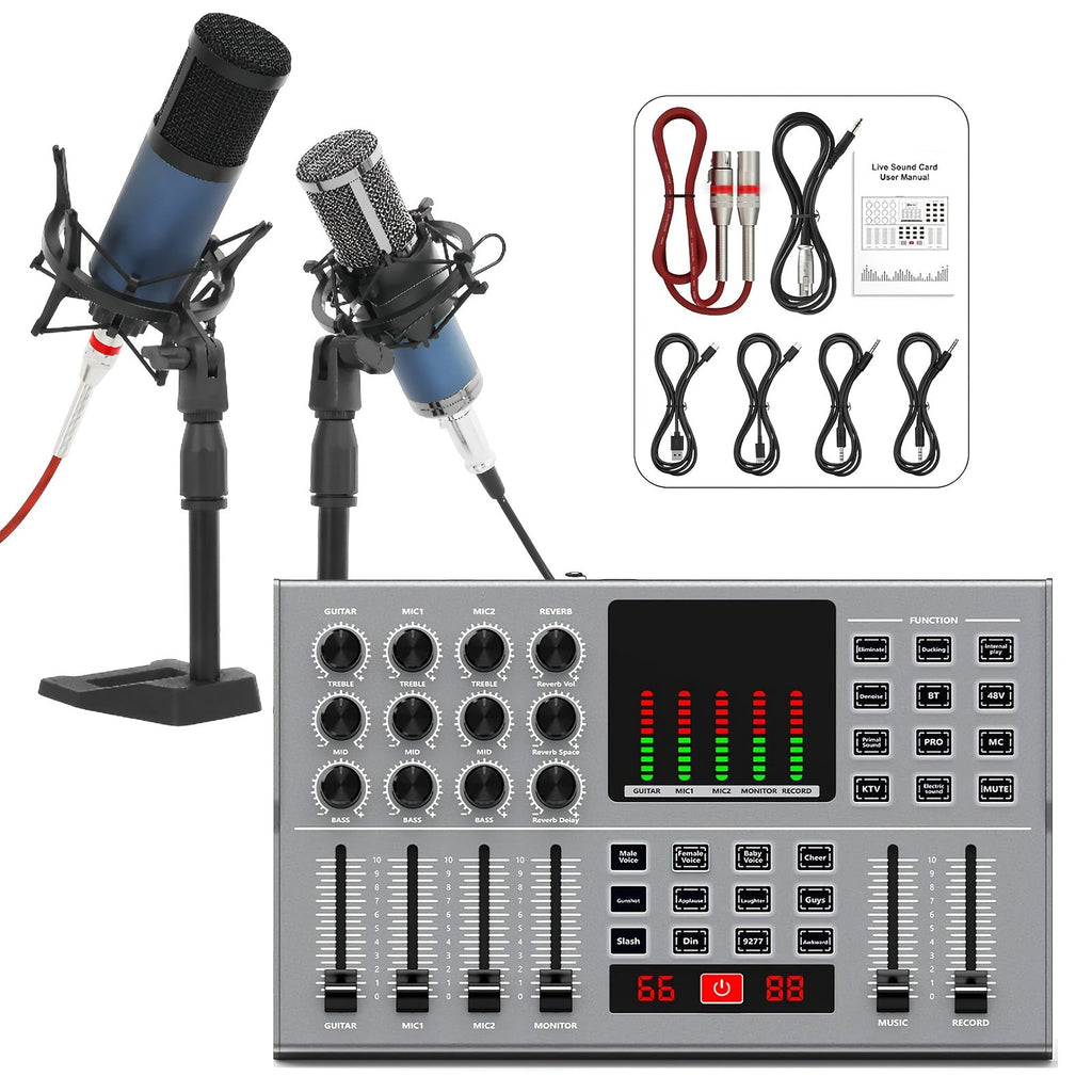 USB Audio Interface shown in the Y12+f11 dual microphone option
